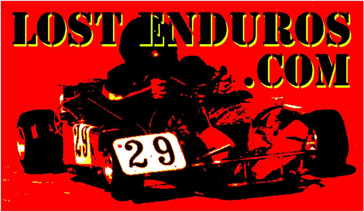 Lost Enduro Sticker